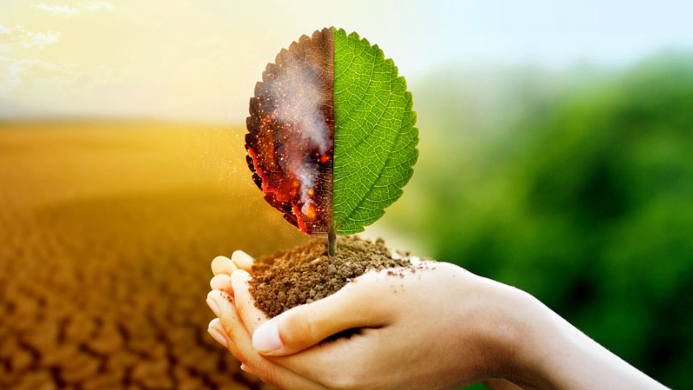 Cambio Climático